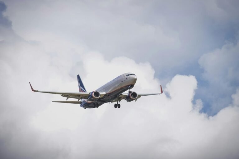 sector dynamics identification numbers